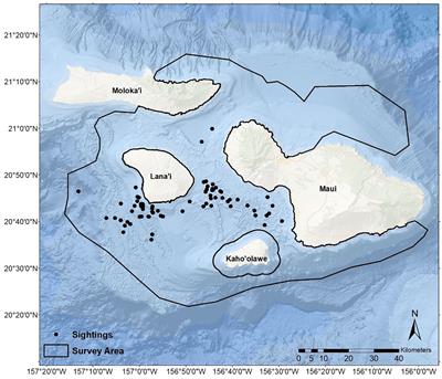 Pantropical spotted dolphin (Stenella attenuata attenuata) abundance estimates in Maui Nui, Hawaiʻi reveal small population in need of monitoring